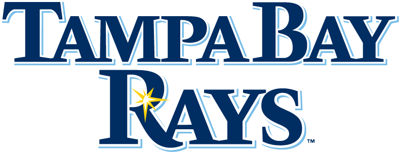 Tampa Bay Rays 2008-Pres Wordmark Logo iron on paper